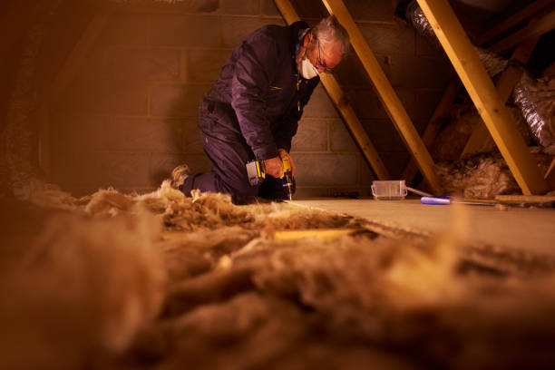 Best Insulation Installation Services in Ilion, NY